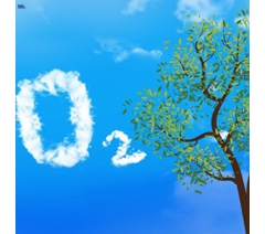 Khí CO2 Thực Phẩm - CO2 Công Nghiệp